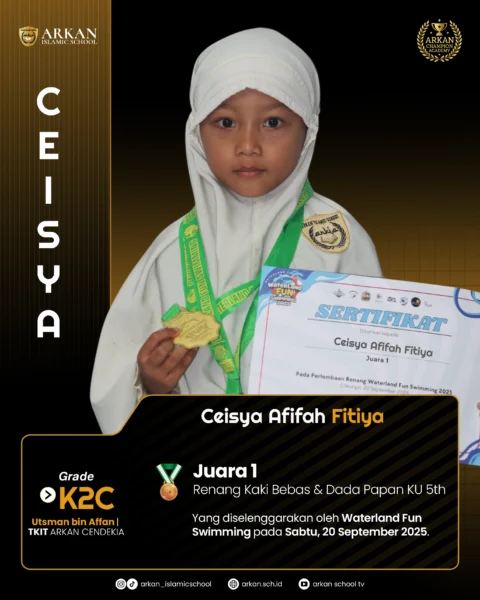 ceisdyaa